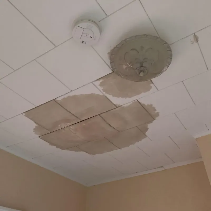 Ceiling Water Damage Repair in Sherman, CT
