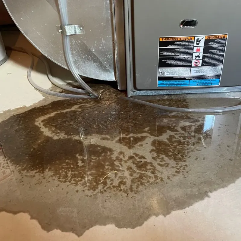 Pipe Burst and Leak Restoration in Sherman, CT